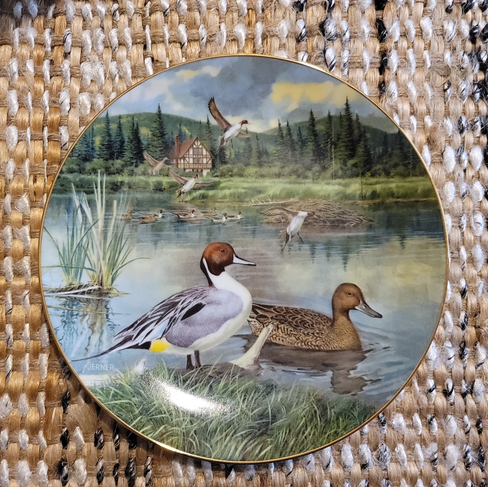 "The Pintail" collector plate by Bart Jerner